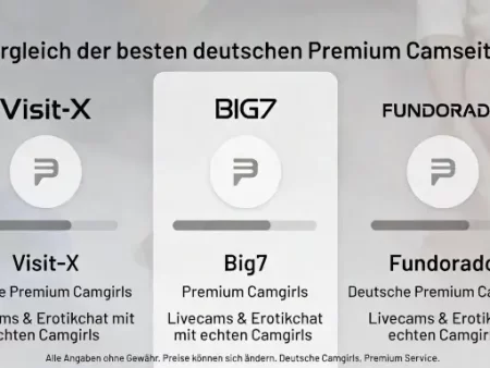 Top 3 * Beste Premium Sexcam Seiten (deutsch) + Exklusive Camgirls live